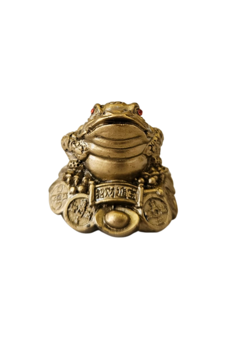 Sapo da fortuna 1