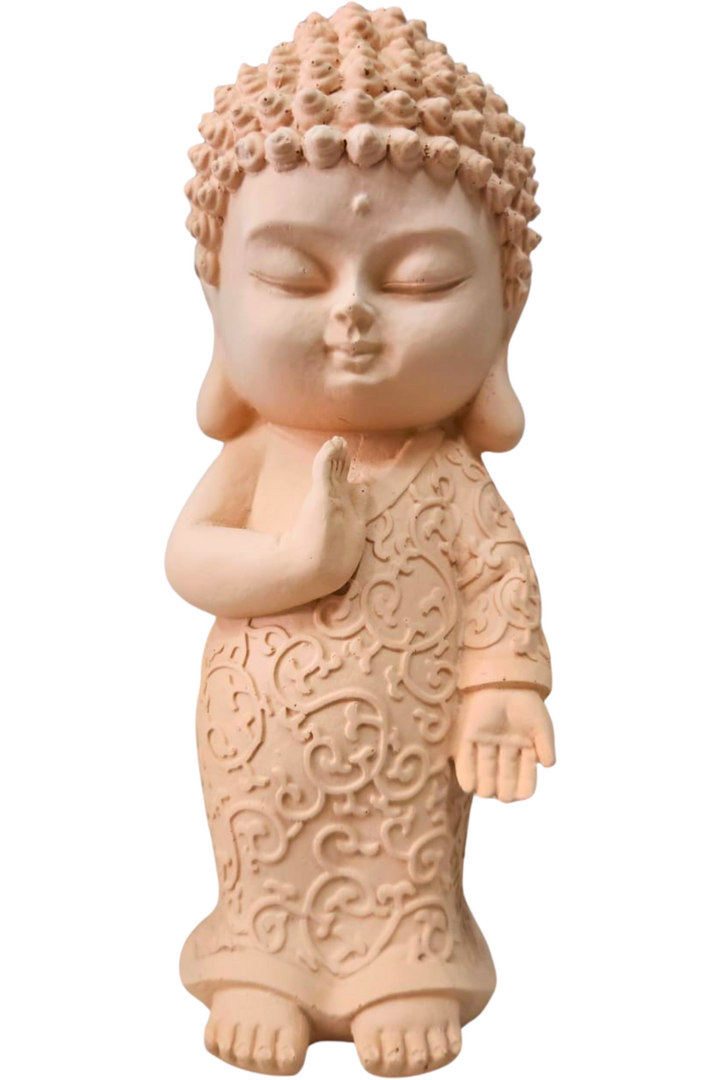 Buda rose 20cm 1