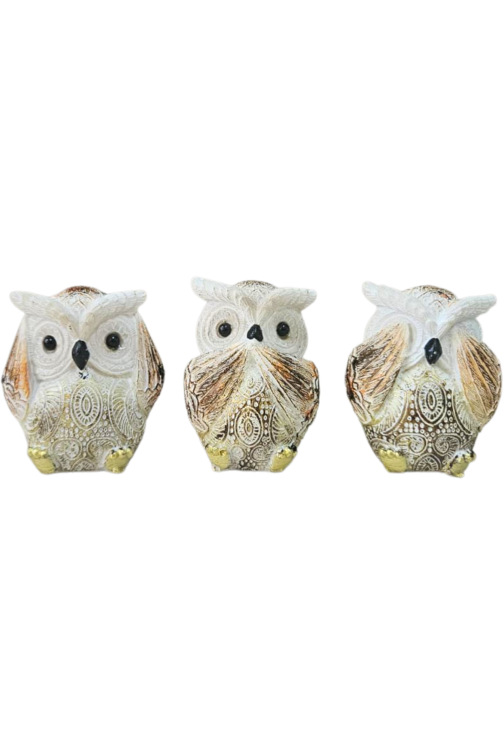 Trio coruja 1