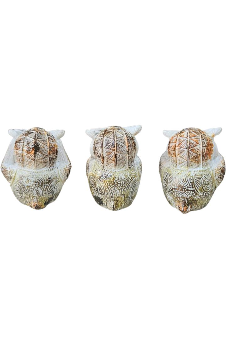Trio coruja 2