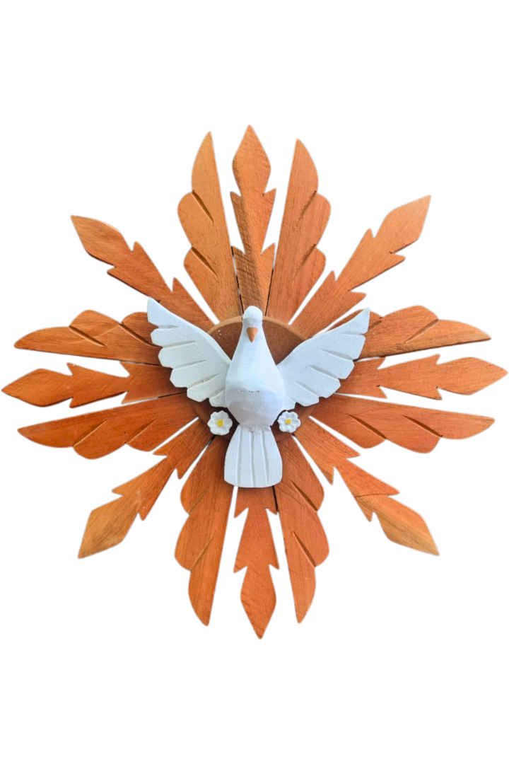 Espirito sando med 1