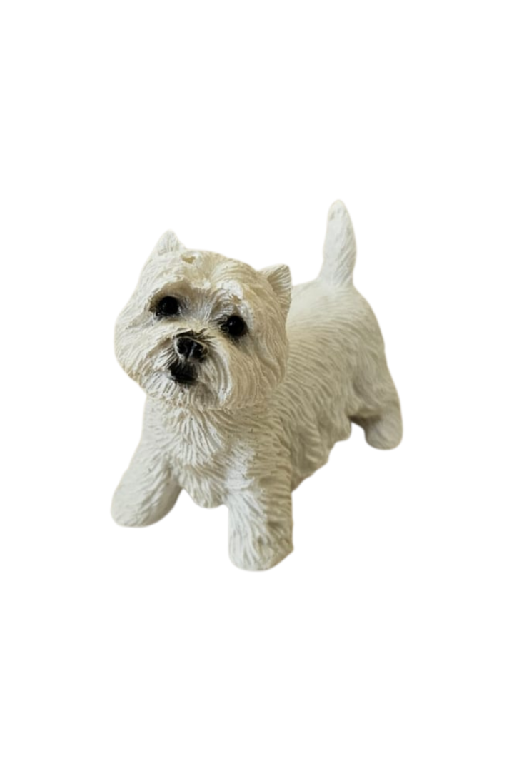Cachorro 1