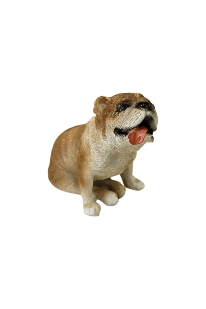 Cachorro 2