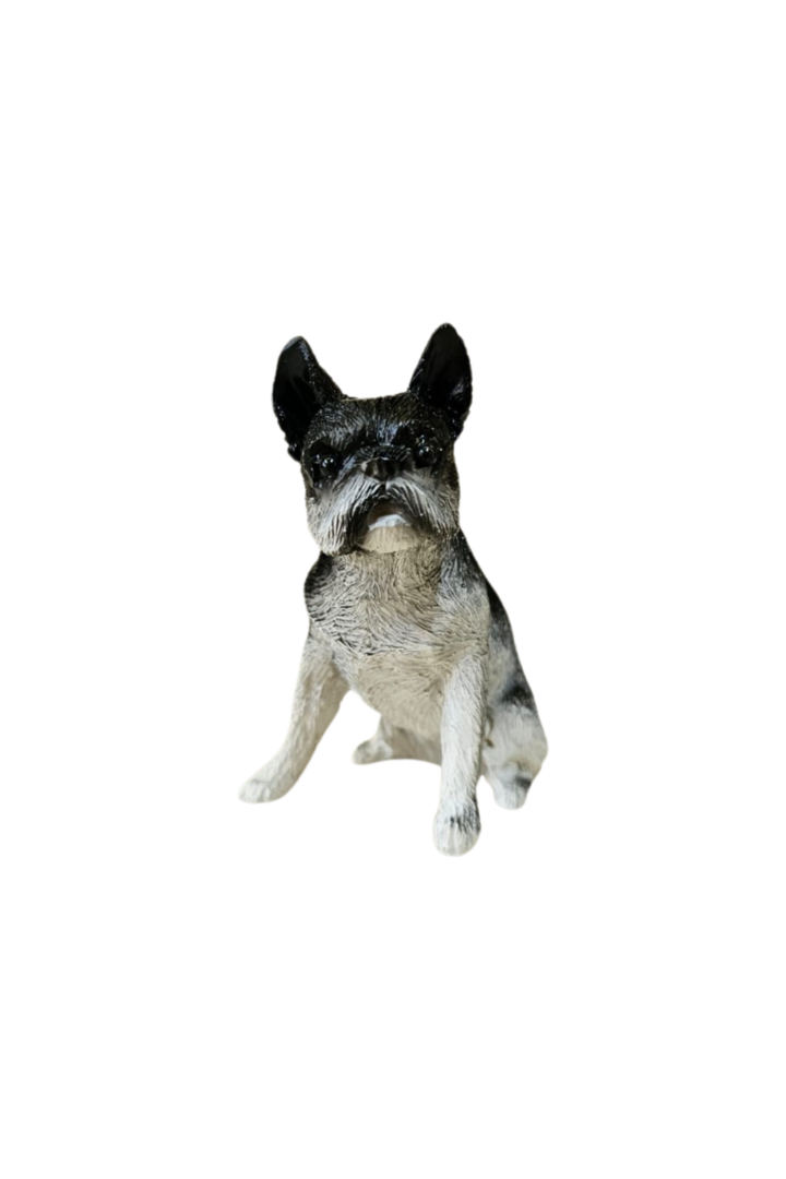Cachorro 3