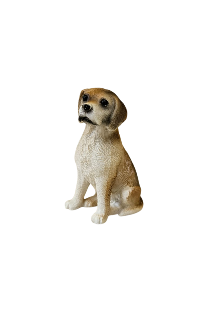 Cachorro 4