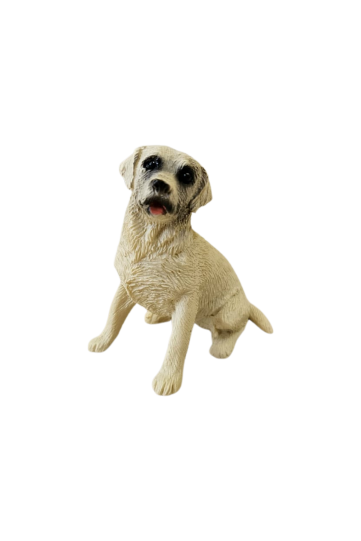 Cachorro 5