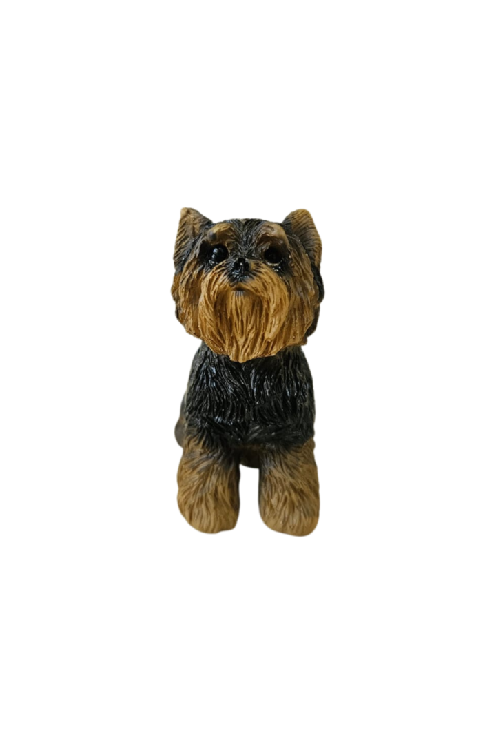 Cachorro 6