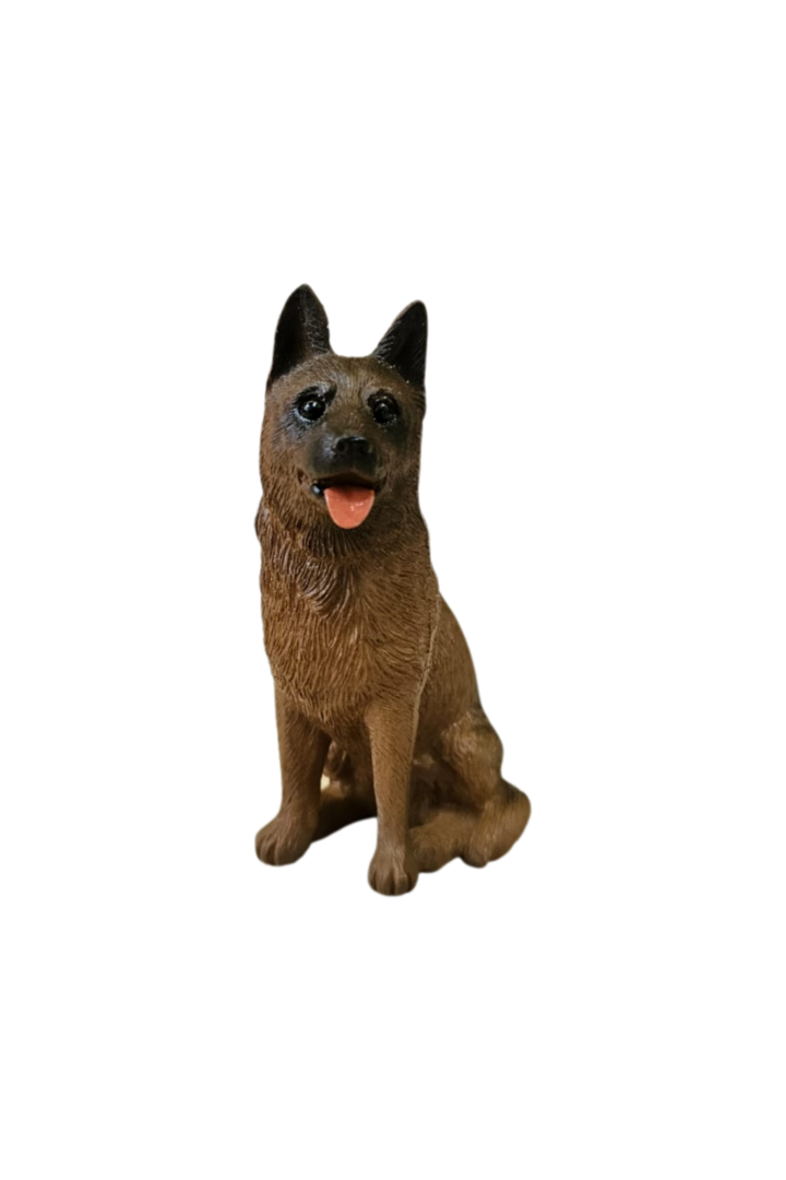 Cachorro 7