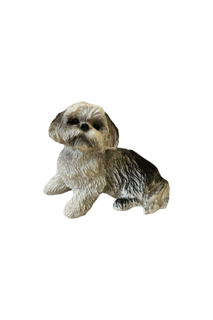 Cachorro 8