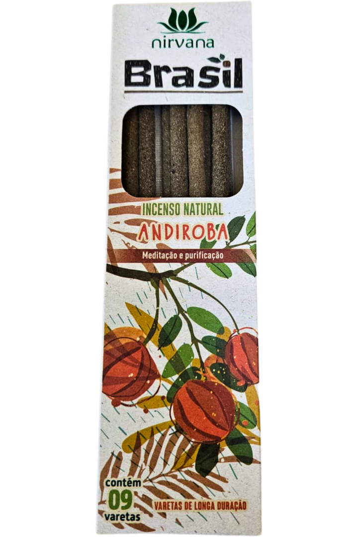 Nirvana brasil andibora 1