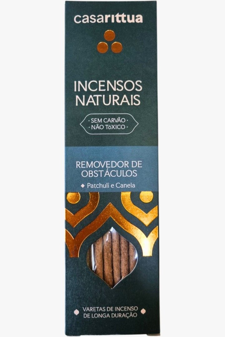 Removedor de obstaculos 1