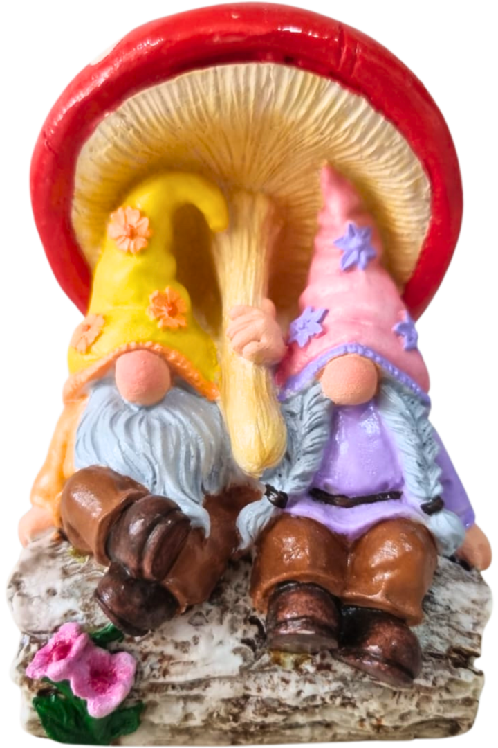 Casal gnomos do amor 1