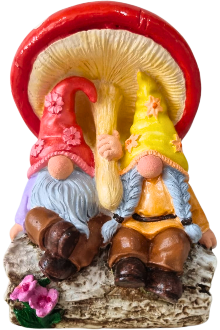 Casal gnomos do amor 4