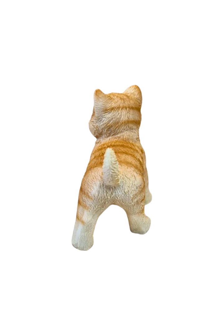 Gato em pe laranja 3
