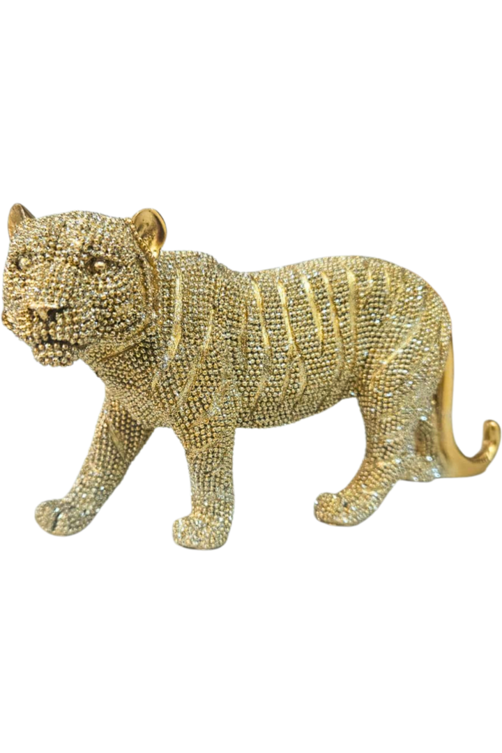 Tigre 1