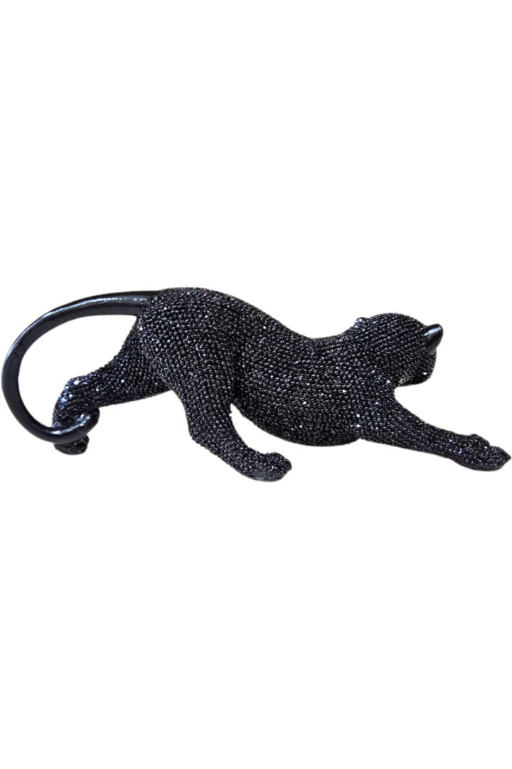 Leopardo 34 2
