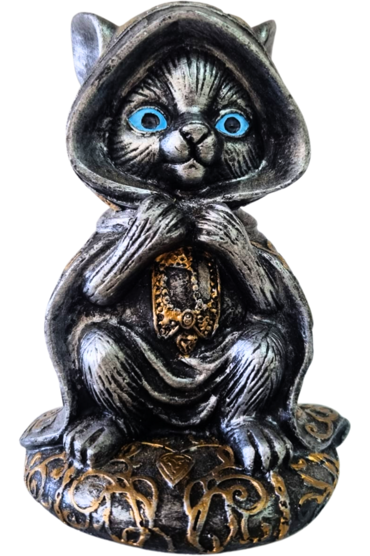Gato bruxo 1