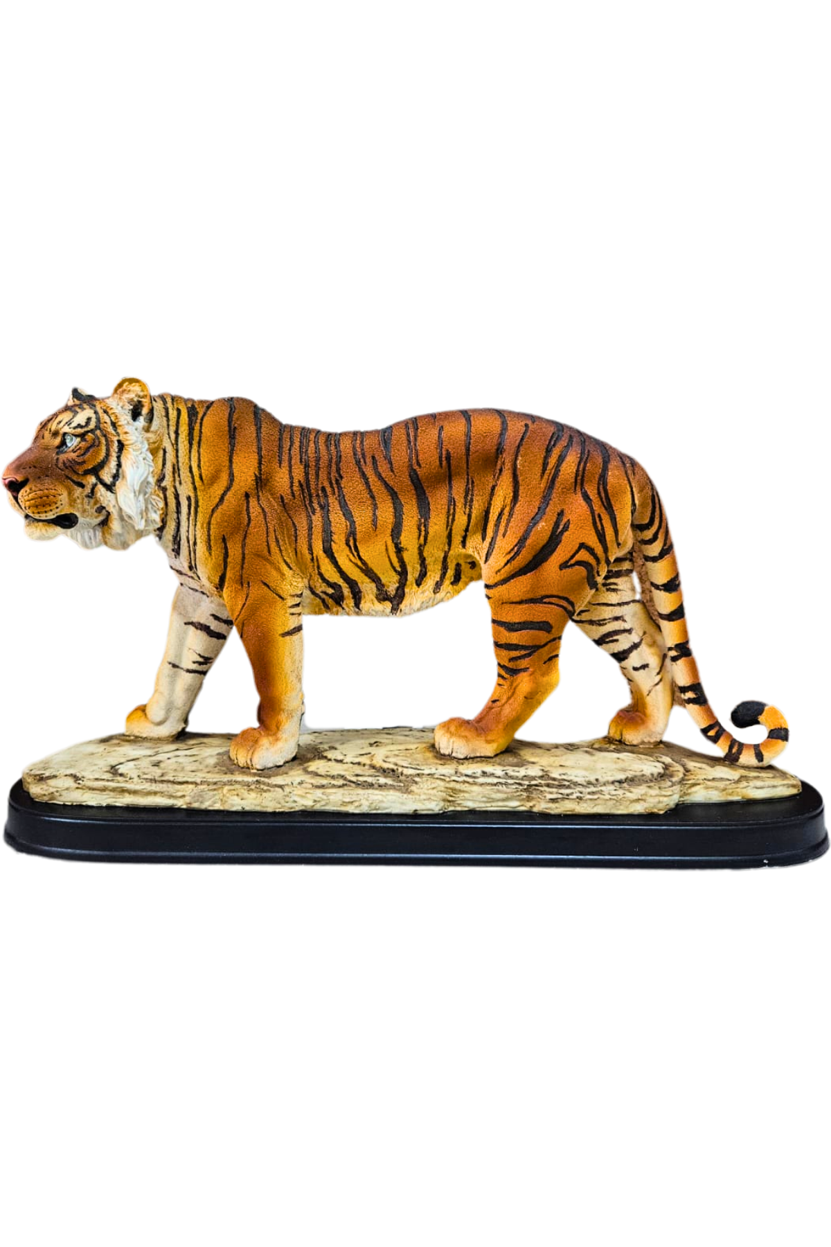 Tigre 1