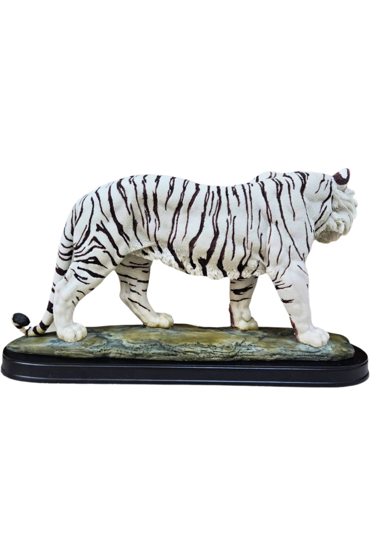 Tigre 4