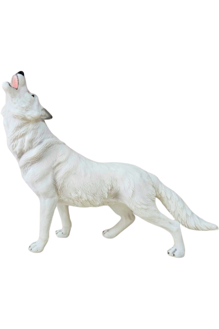 Lobo artico 1