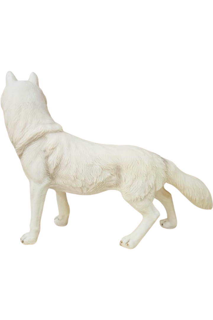Lobo em pe 2