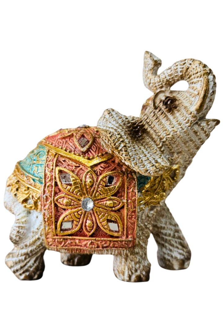 Elefante x100 1