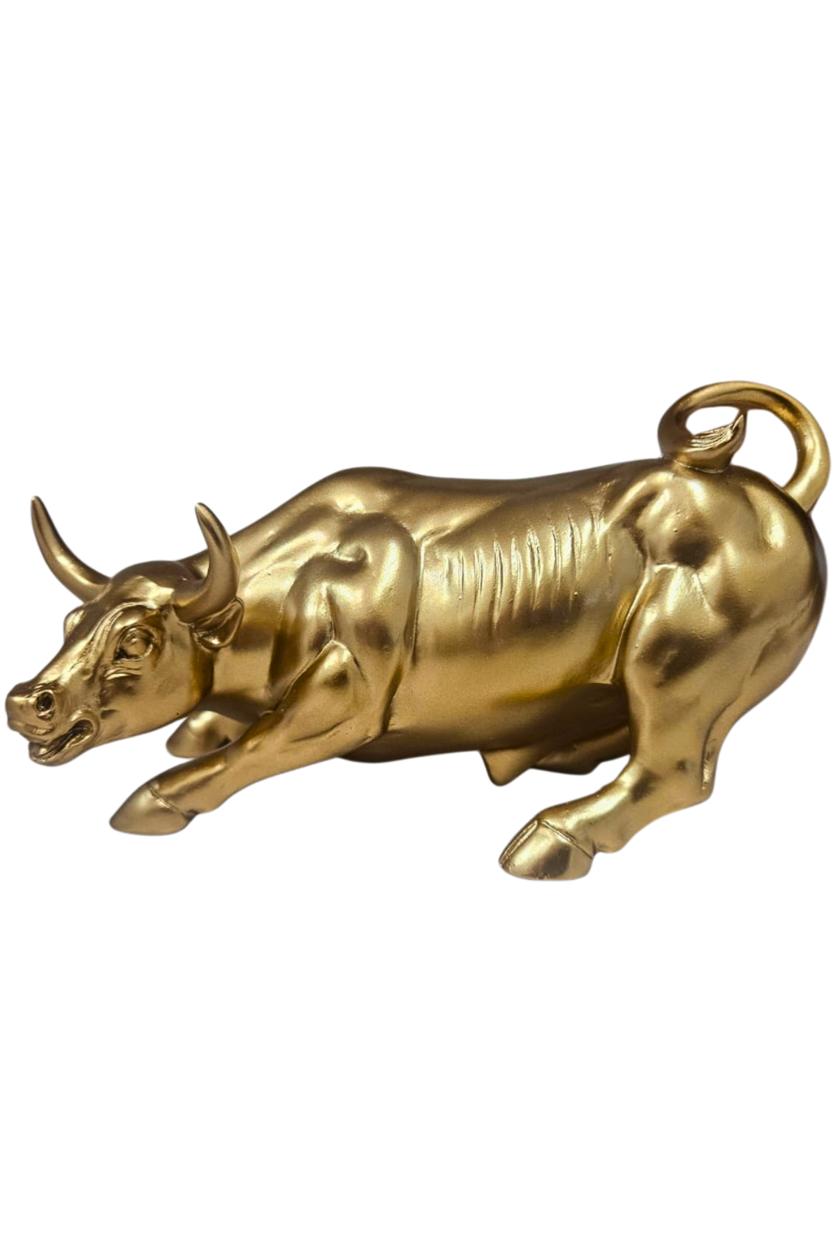 Touro dourado 2