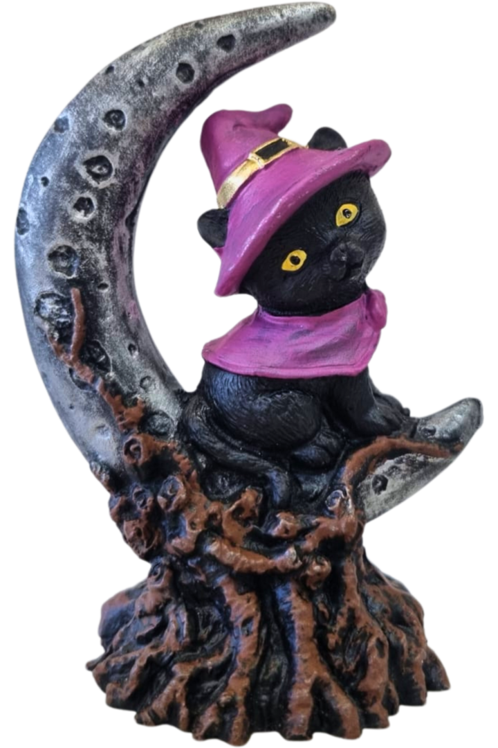 Gato na lua 1