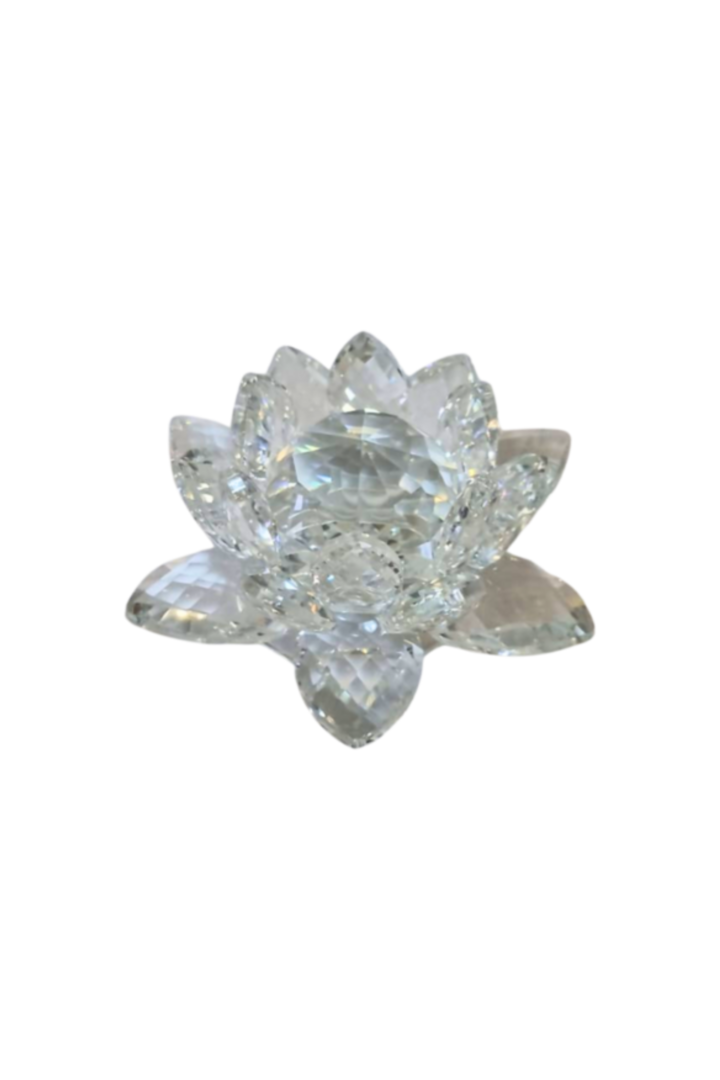 Flor de lotus 1