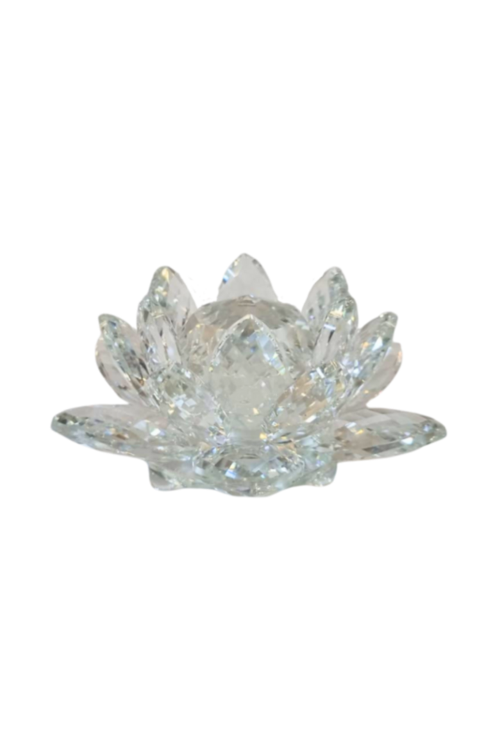 Flor de lotus 2