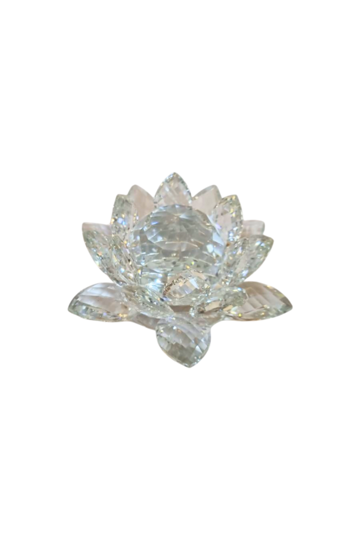 Flor de lotus 15cm 1