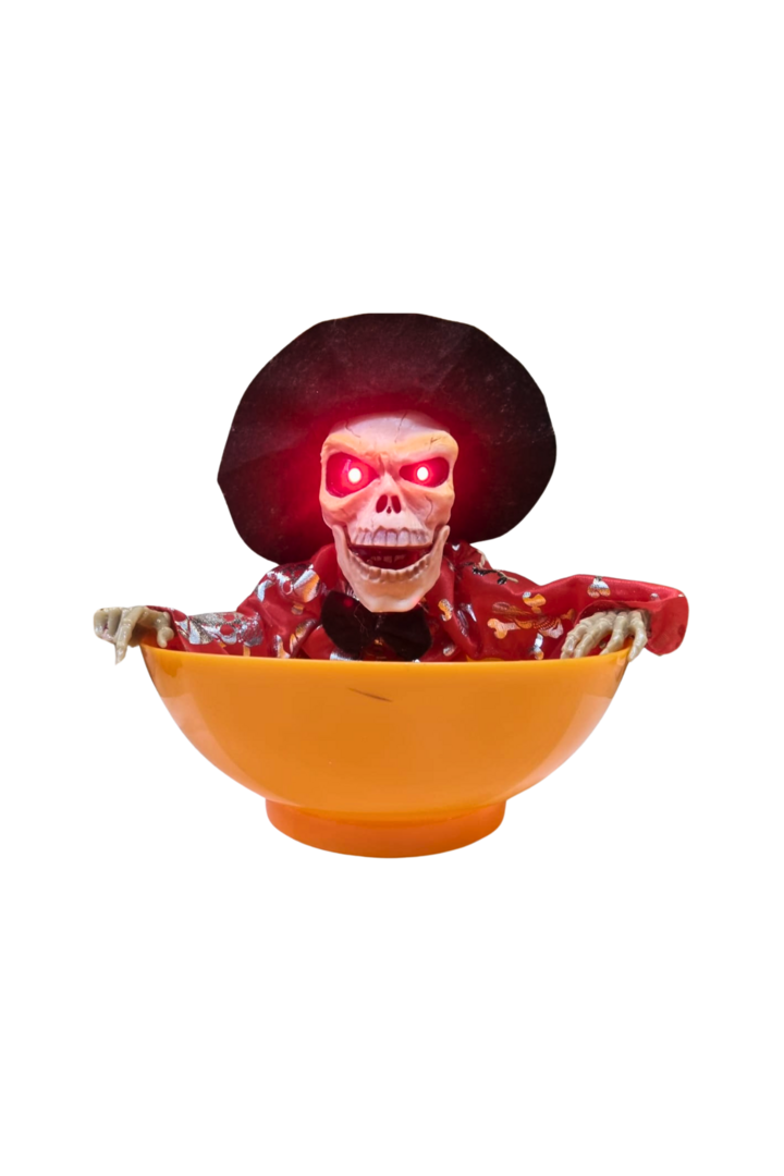 Caveira porta bala 1