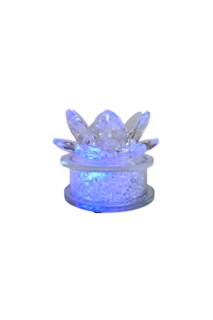 Flor de lotus com luz 2