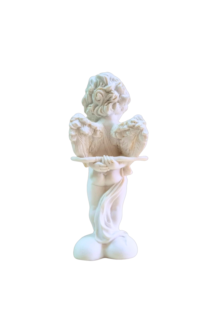 Anjo branco 6