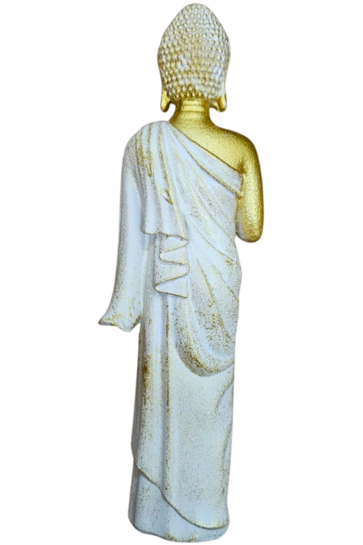 Buda 3 modelos 2