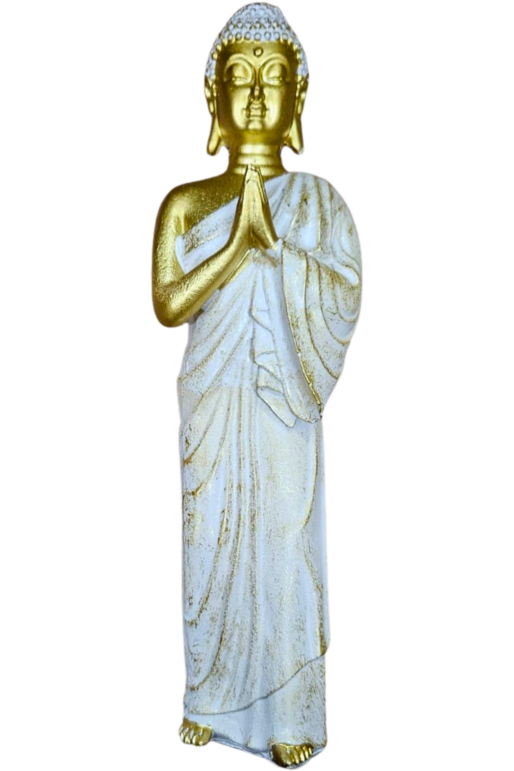Buda 3 modelos 4