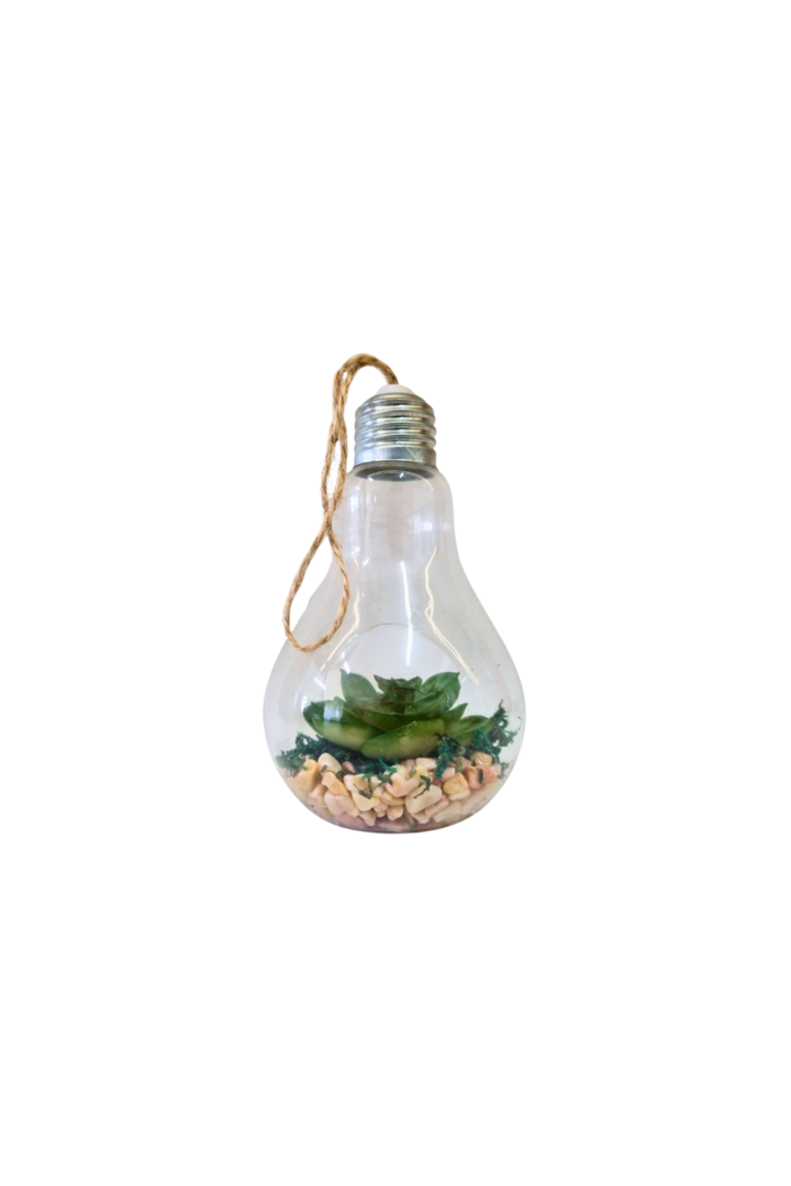 Enfeite lampada 2