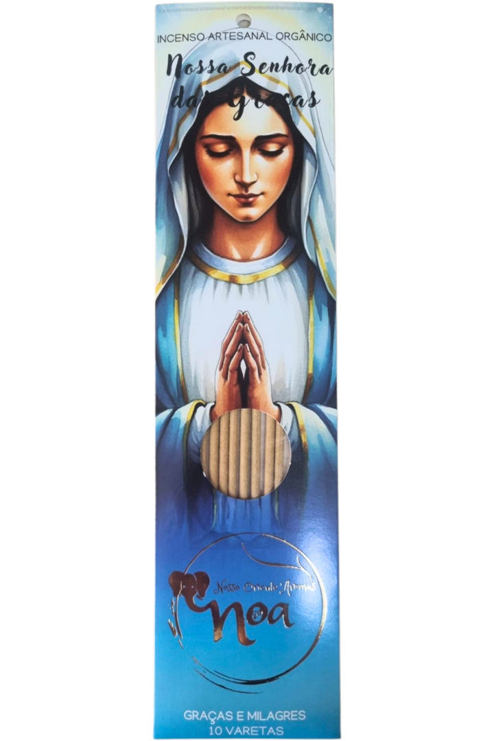 Nossa senhora das gracas 1